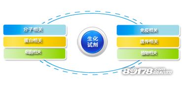 創(chuàng)業(yè)良機(jī) 加盟和興生物，搶占大健康產(chǎn)業(yè)藍(lán)海